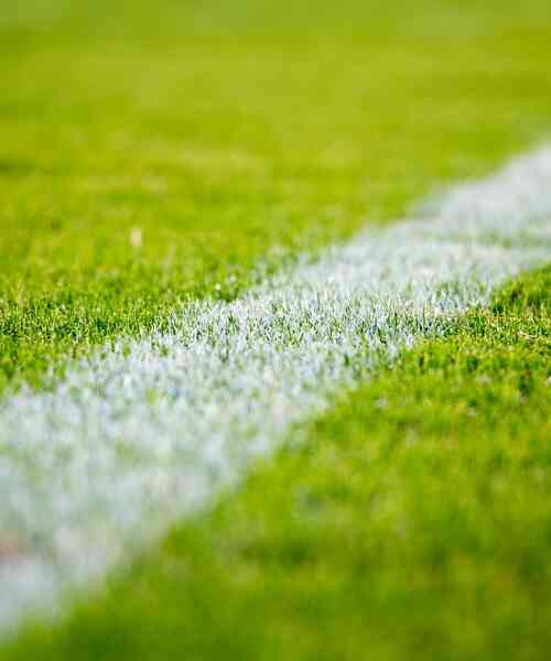 Sport & Performance Kopfbild