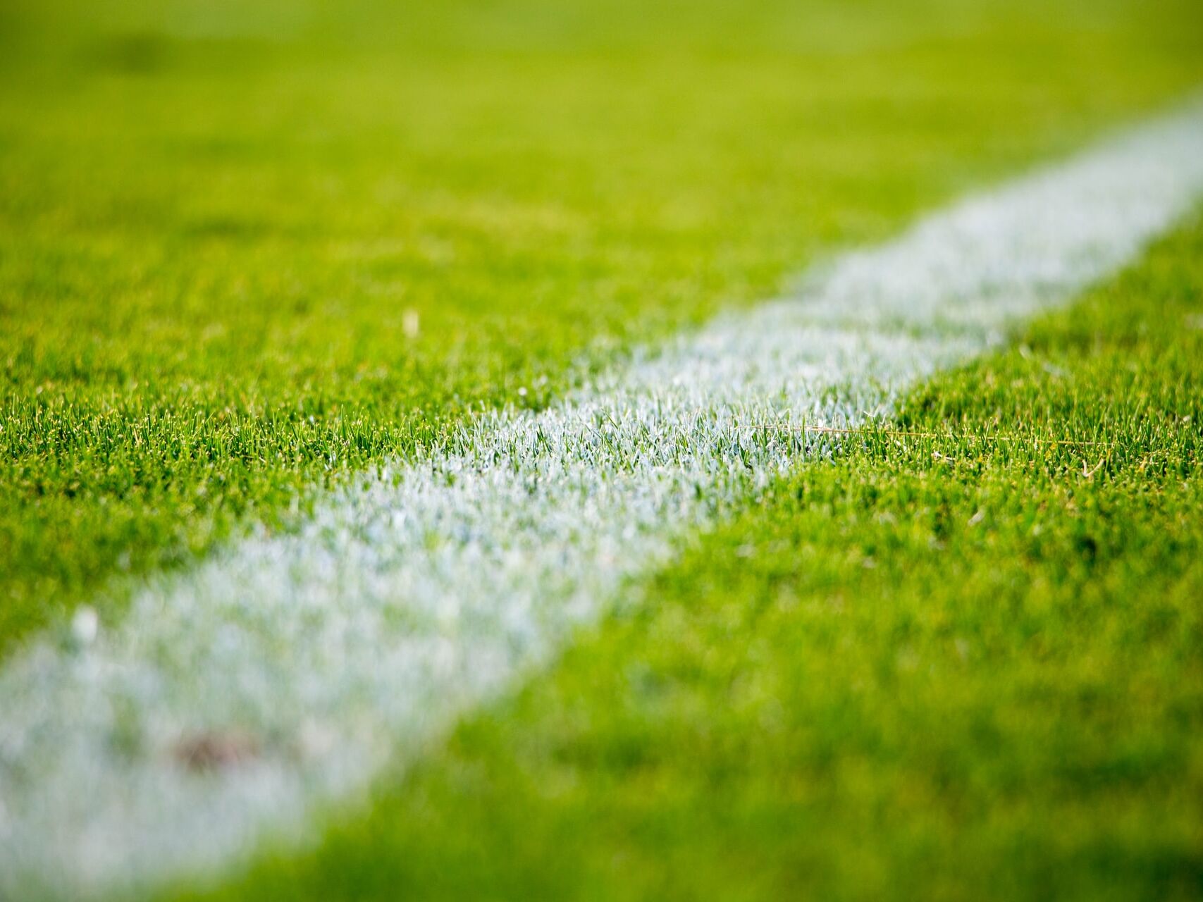 Nahaufnahme einer weißen Spielfeldlinie auf grünem Rasen.