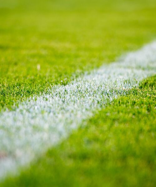 Sport & Performance Kopfbild