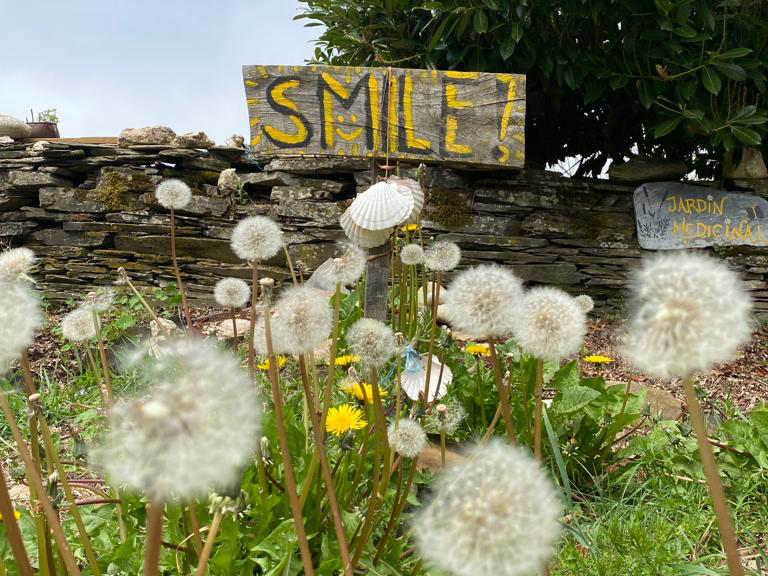 Ein Holzschild mit der gelben Aufschrift "SMILE!" steht hinter verblühten Pusteblumen, daneben ein kleineres Schild mit "Jardín medicinal".