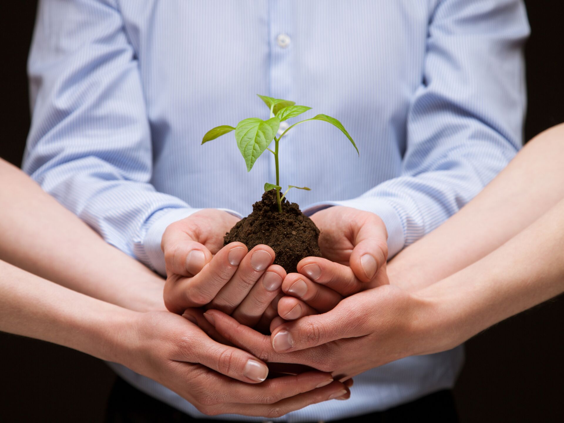 Master Studium in Berlin an der BSP - Sustainability and Management